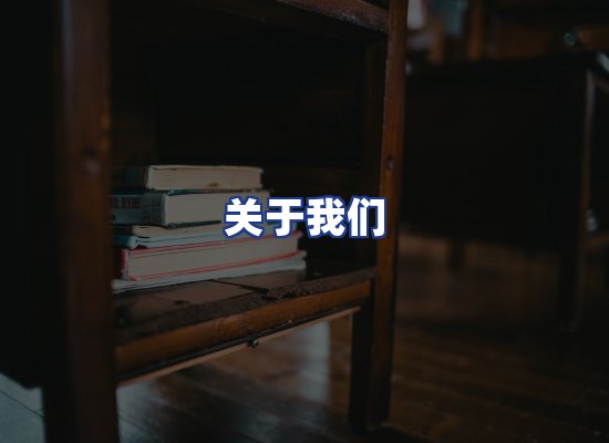 专业团队